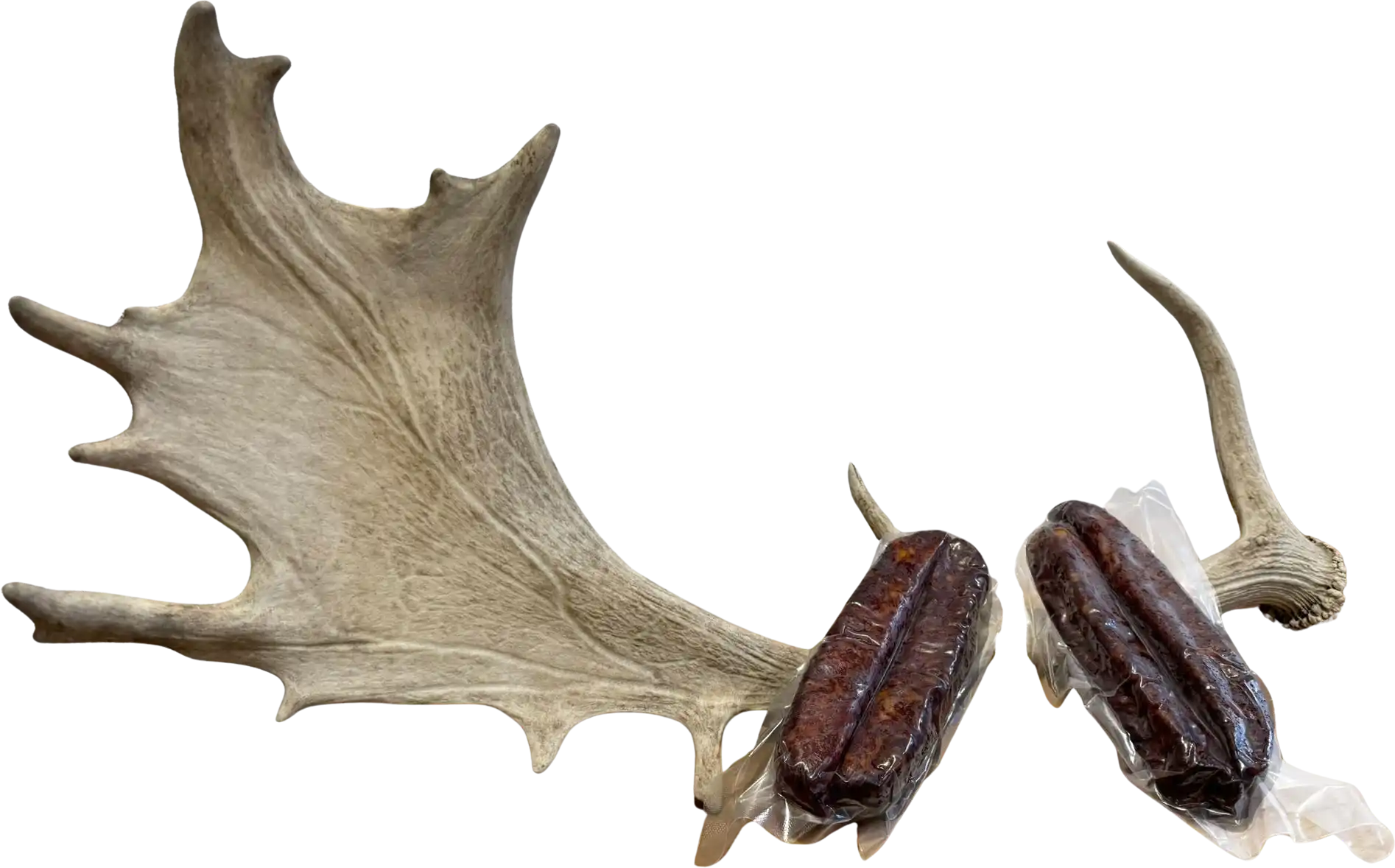 schueblig Schüblig Damhirsch